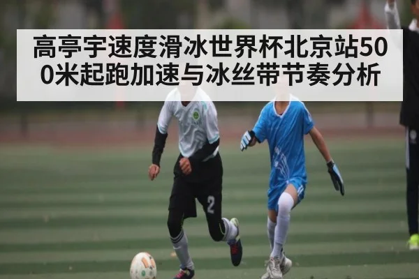 高亭宇速度滑冰世界杯北京站500米起跑加速与冰丝带节奏分析